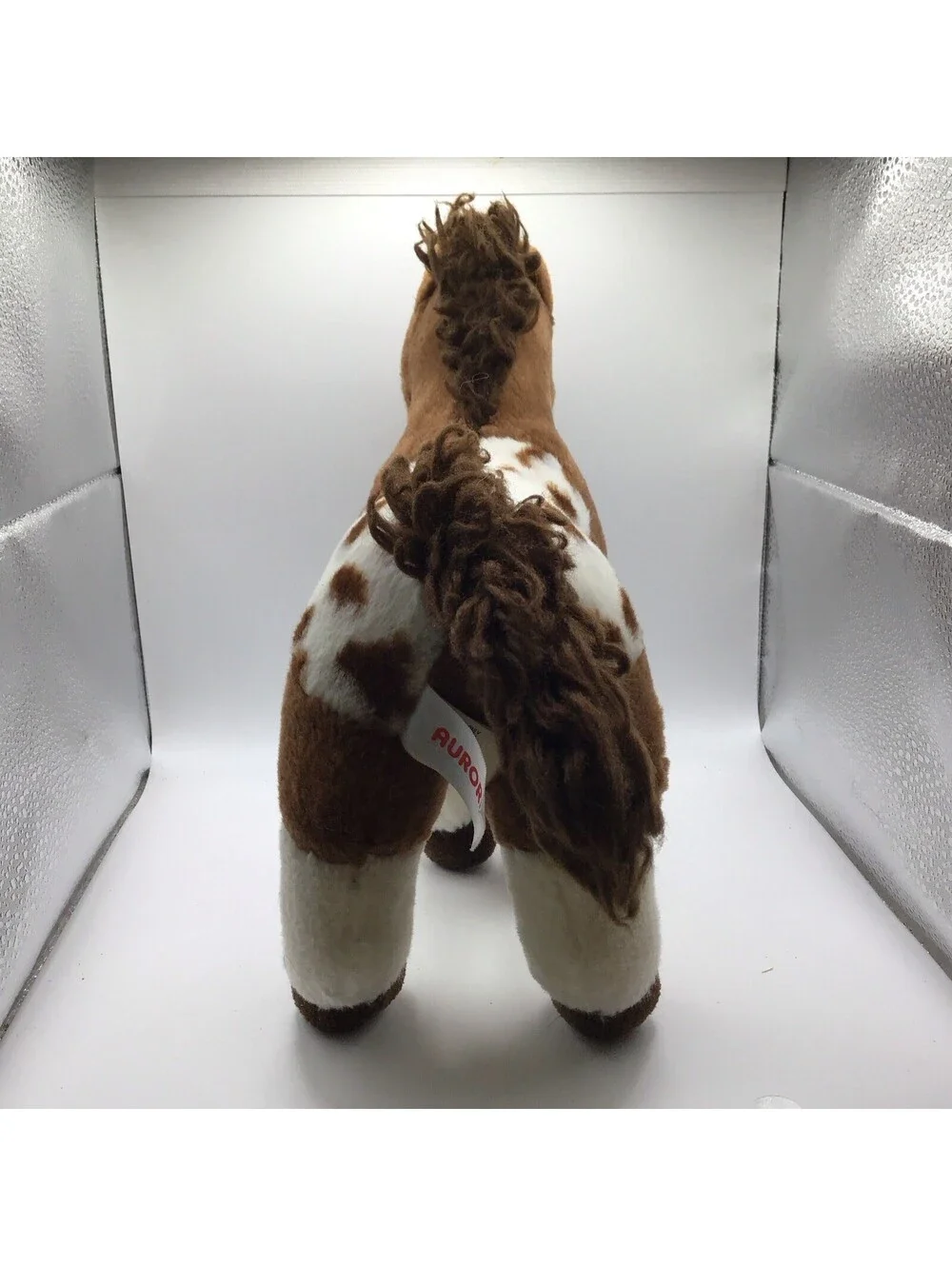 Aurora appaloosa horse